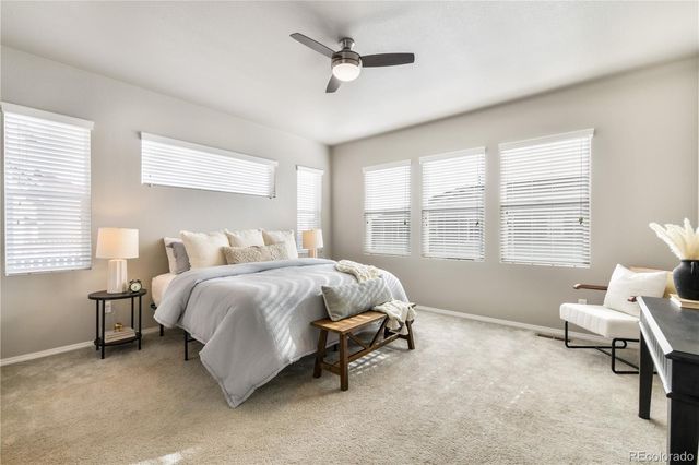 6093 Rowdy Drive, Colorado Springs, CO 80924