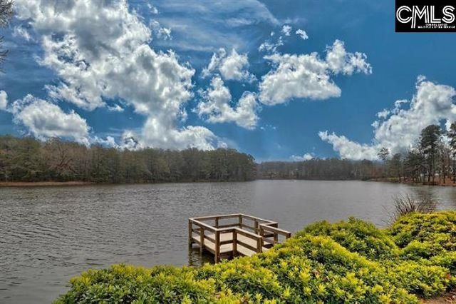 112 Garden Gate Way, Lexington, SC 29072
