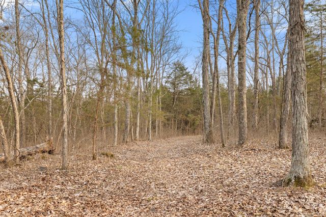 3888 Coleman Hill Rd, Rockvale, TN 37153