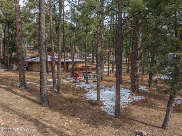 201 Morgan Drive, Ruidoso, NM 88345