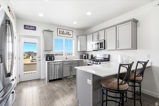 1788 E DUCKWATER PEAK, Eagle Mountain, UT 84005