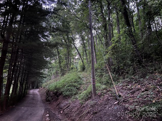 111 High Top Lane 111, Asheville, NC 28803