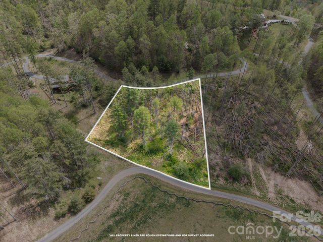 00000 White Pine Lane 19, Bakersville, NC 28705