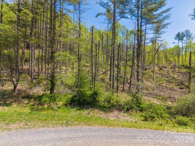 00000 White Pine Lane 19, Bakersville, NC 28705