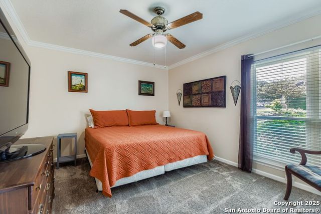 11702 Whisper Dew, San Antonio, TX 78230