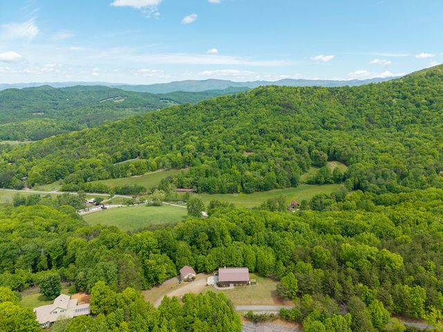 971 White Oak Drive, Warne, NC 28909