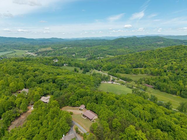 971 White Oak Drive, Warne, NC 28909