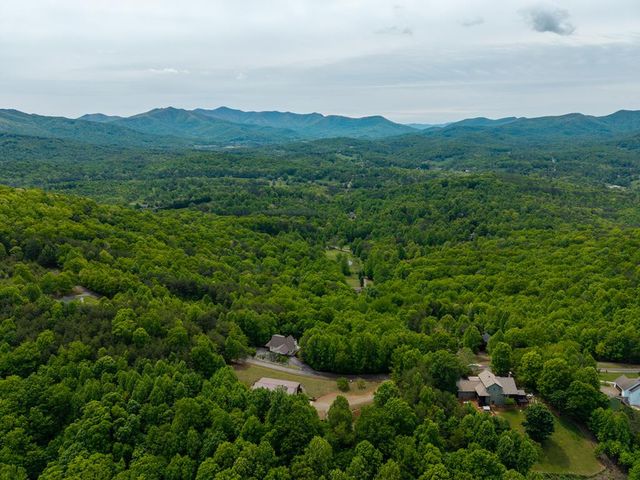 971 White Oak Drive, Warne, NC 28909