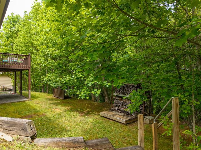 971 White Oak Drive, Warne, NC 28909