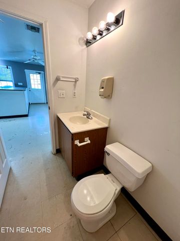 1117 Oak Cluster Drive, Sevierville, TN 37862