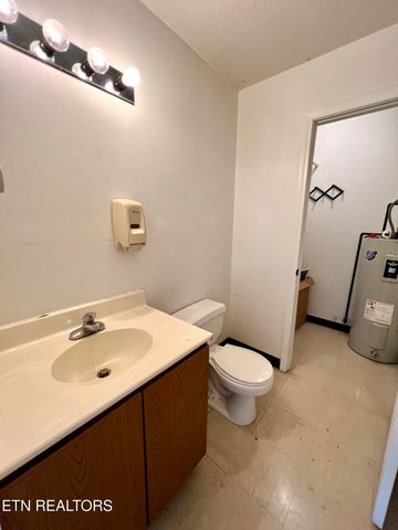 1117 Oak Cluster Drive, Sevierville, TN 37862