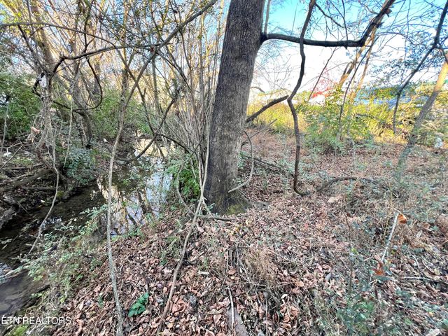 1117 Oak Cluster Drive, Sevierville, TN 37862