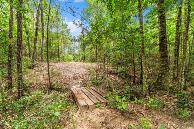 341 Big Buck Drive Drive, Cleveland, TX 77328