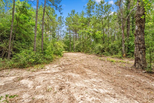 341 Big Buck Drive Drive, Cleveland, TX 77328