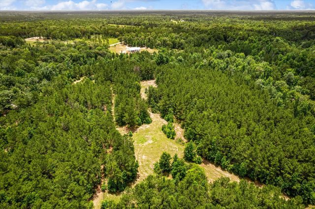 341 Big Buck Drive Drive, Cleveland, TX 77328