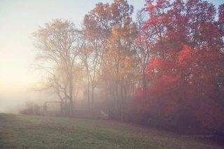 1466 Berea Church Rd, Lebanon, TN 37087