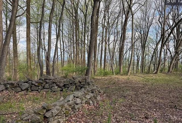 4825 South Mountain Drive, Upper Milford Twp, PA 18049