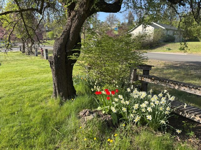 24795 Long Street, Fall River Mills, CA 96028