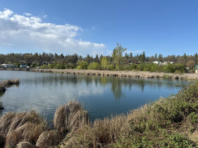 24795 Long Street, Fall River Mills, CA 96028