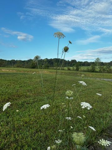 171 Fieldstone Lane, Pikeville, TN 37367