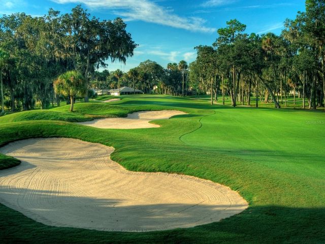 438 LAFAYETTE BOULEVARD, Oldsmar, FL 34677