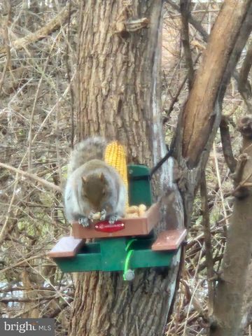 18757 MESA TER, Hagerstown, MD 21742