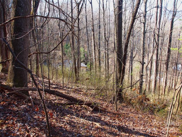 00 Bob Wood Drive, Canton, NC 28716