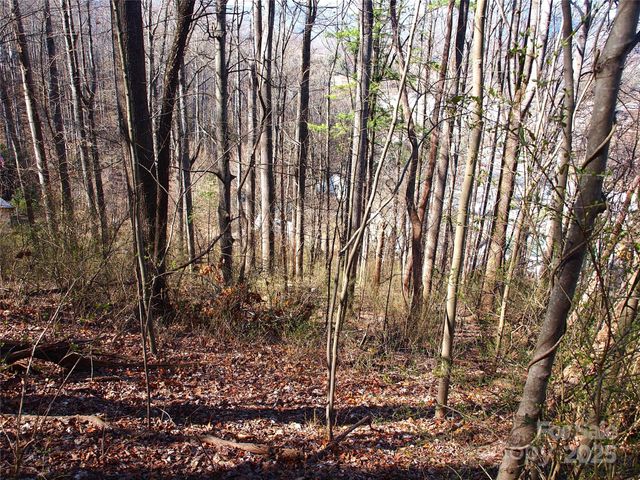 00 Bob Wood Drive, Canton, NC 28716