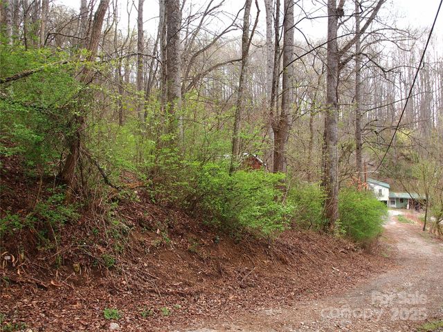 00 Bob Wood Drive, Canton, NC 28716