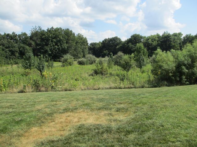7506 WELLFORD CT, Columbia, MO 65203
