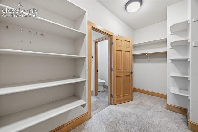 164 Metcalf Lane, Monument, CO 80132