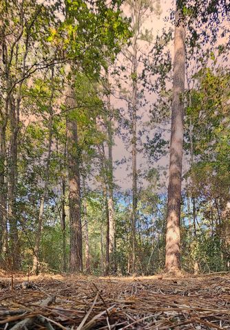 Lot 10 Gregory Lane, New Waverly, TX 77358