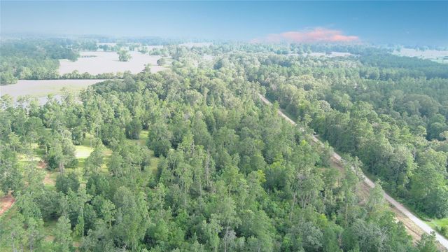 Lot 10 Gregory Lane, New Waverly, TX 77358