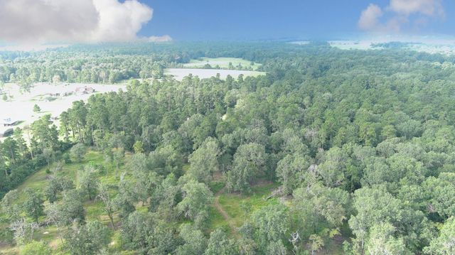 Lot 10 Gregory Lane, New Waverly, TX 77358