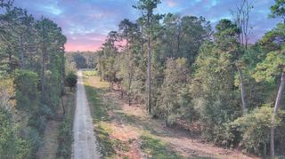 Lot 10 Gregory Lane, New Waverly, TX 77358