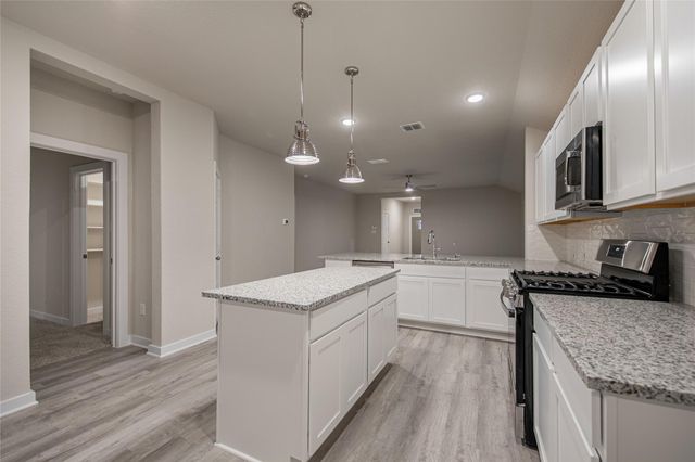 25525 Flora Bella LN, Elgin, TX 78621
