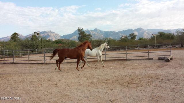 7944 E Cloud Road, Tucson, AZ 85750