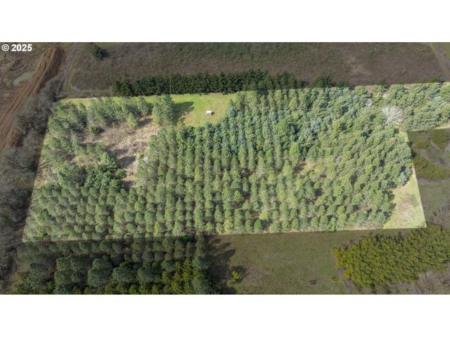 Three Trees Ln, Amity, OR 97101