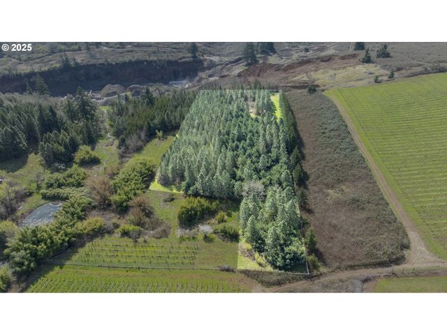 Three Trees Ln, Amity, OR 97101