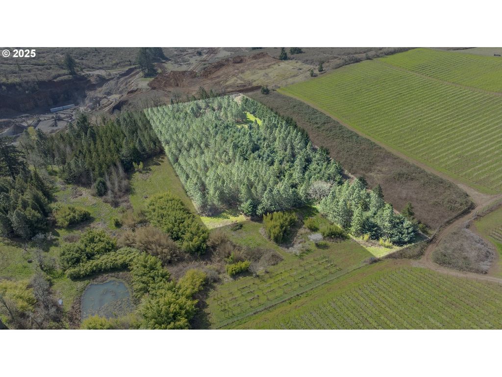 Three Trees Ln, Amity, OR 97101