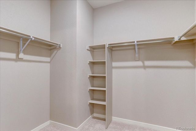 15937 Little Bluestem Road, Monument, CO 80132