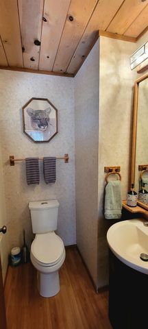 19812 Wanita Ln, Twain Harte, CA 95383