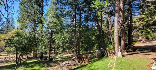 19812 Wanita Ln, Twain Harte, CA 95383