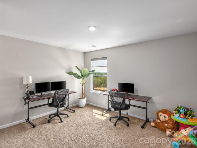 348 Tavernier Lane, Candler, NC 28715