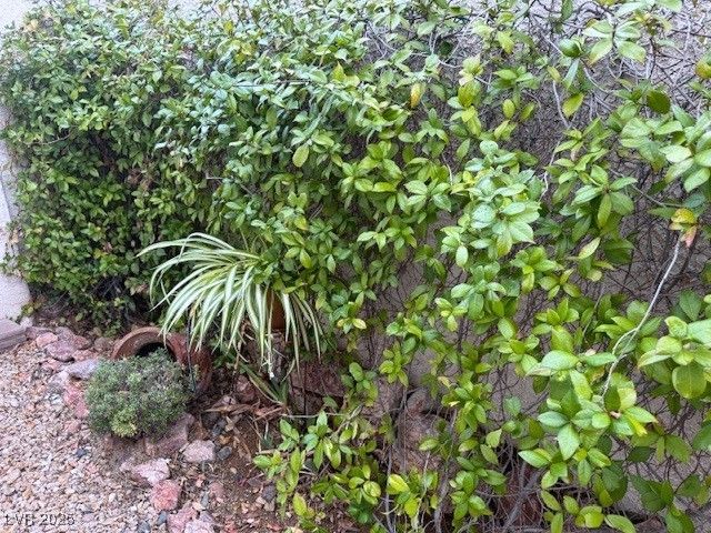 10329 Hampton Hills Lane, Las Vegas, NV 89144