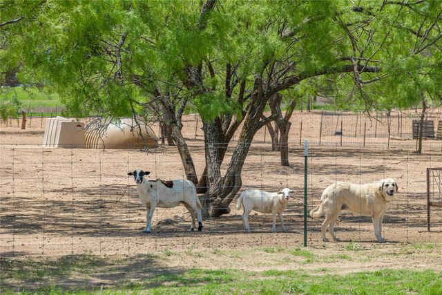 170 Sendera Drive, Early, TX 76802