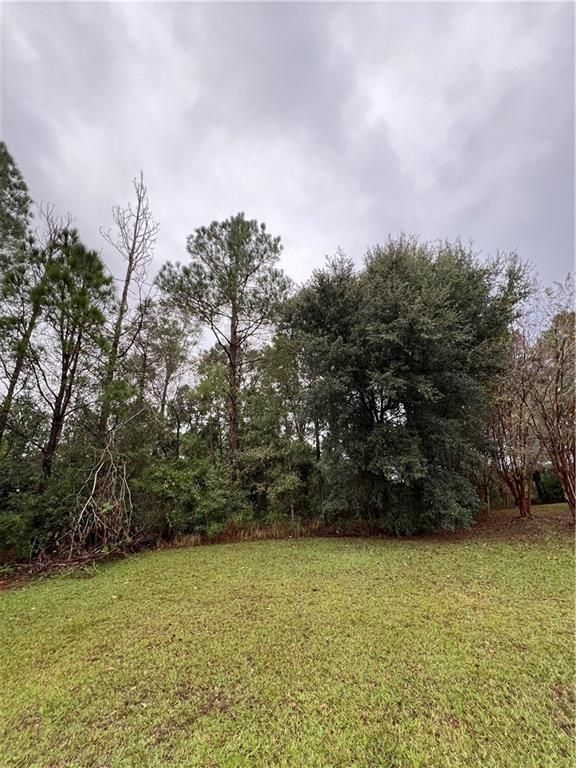 0 Browning Place Court, Mobile, AL 36608 — photo 3