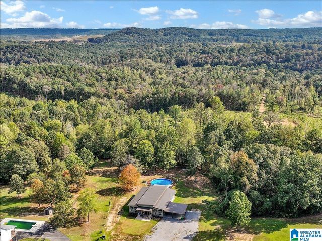325 COUNTY ROAD 248, Cullman, AL 35057