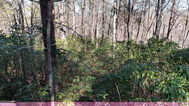 LOT 2 Crumley Creek Road, Sautee Nacoochee, GA 30571
