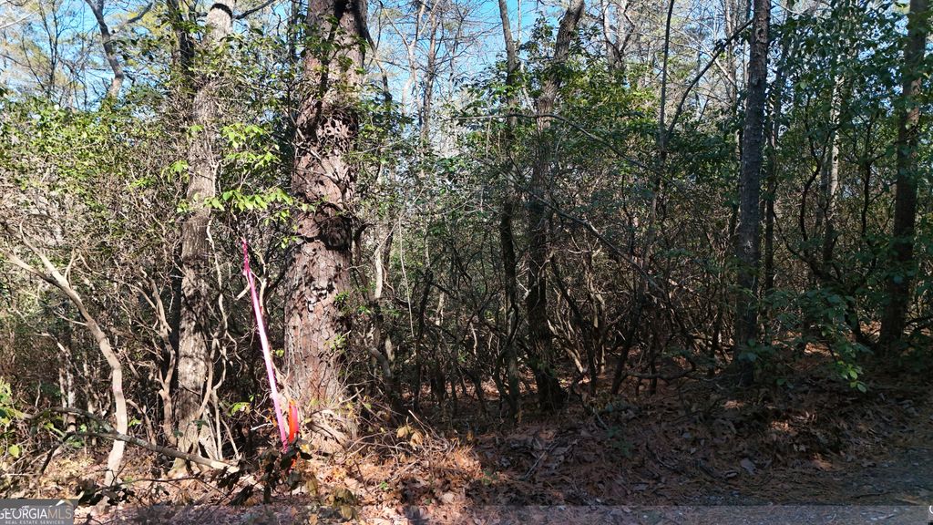 LOT 2 Crumley Creek Road, Sautee Nacoochee, GA 30571